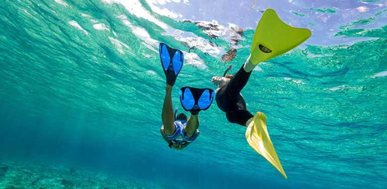Équipe de plongée en apnée Zeeporte pour adultes Algeria